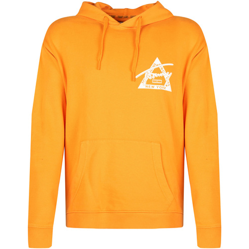Textiel Heren Sweaters / Sweatshirts Tommy Hilfiger DM0DM06591 Orange