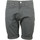 Textiel Heren Korte broeken / Bermuda's Carhartt Swell Short Grijs