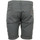 Textiel Heren Korte broeken / Bermuda's Carhartt Swell Short Grijs