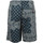 Textiel Heren Korte broeken / Bermuda's Tommy Hilfiger Bandana Print Short Blauw