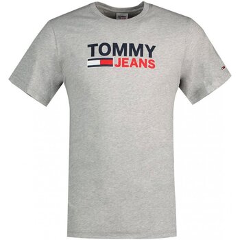 Textiel Heren T-shirts korte mouwen Tommy Jeans DM0DM15379 Grijs