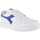 Schoenen Kinderen Sneakers Diadora 101.177720 01 C3144 White/Imperial blue Wit