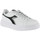 Schoenen Dames Sneakers Diadora 101.178335 01 C1145 White/Black/Silver Wit