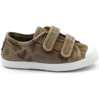 Schoenen Kinderen Lage sneakers Cienta CIE-CCC-78777-46-a Brown