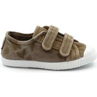 Schoenen Kinderen Lage sneakers Cienta CIE-CCC-78777-46-b Brown