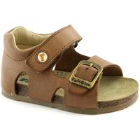 Schoenen Kinderen Sandalen / Open schoenen Naturino FAL-CCC-0737-CU Brown