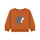 Textiel Jongens Sweaters / Sweatshirts Petit Bateau CARTABLE Brown