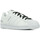 Schoenen Dames Sneakers adidas Originals Superstar Wit