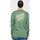 Textiel Heren Sweaters / Sweatshirts Santa Cruz Opus dot stripe crew Groen