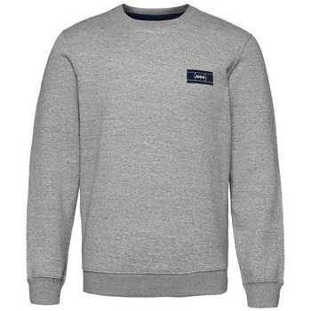 Textiel Heren Sweaters / Sweatshirts Monotox Logo CN Grijs