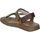 Schoenen Heren Sandalen / Open schoenen Walk & Fly 22-30363 Brown