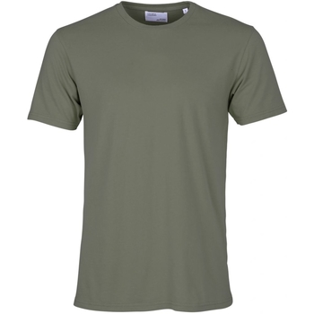 Textiel T-shirts korte mouwen Colorful Standard T-shirt  Classic Organic dusty olive Groen