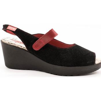 Schoenen Dames Sandalen / Open schoenen Clamp  Zwart