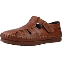 Schoenen Heren Sandalen / Open schoenen Pitillos 4662P Brown