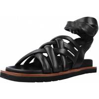 Schoenen Dames Sandalen / Open schoenen Elvio Zanon EQ0906X Zwart