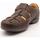 Schoenen Heren Sandalen / Open schoenen Clarks  Brown