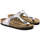 Schoenen Dames Sandalen / Open schoenen Birkenstock Gizeh Zilver