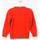Textiel Jongens Sweaters / Sweatshirts Napapijri N0CIW1-RA3 Multicolour
