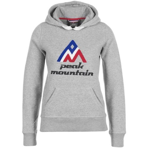 Textiel Dames Sweaters / Sweatshirts Peak Mountain Sweat à capuche femme ADRIVER Grijs