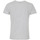 Textiel Heren T-shirts korte mouwen Degré Celsius T-shirt manches courtes homme CERGIO Grijs