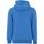 Textiel Heren Sweaters / Sweatshirts Degré Celsius Sweat à capuche homme CINOR Blauw