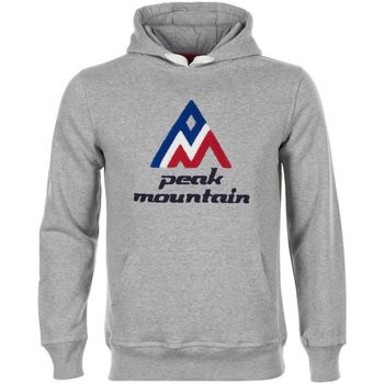 Textiel Heren Sweaters / Sweatshirts Peak Mountain Sweat à capuche homme CODRIVER Grijs