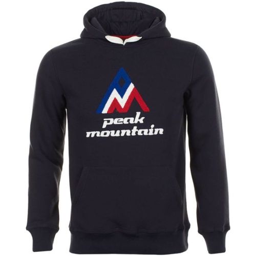 Textiel Heren Sweaters / Sweatshirts Peak Mountain Sweat à capuche homme CODRIVER Marine