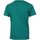 Textiel Jongens T-shirts korte mouwen Harry Kayn T-shirt manches courtesgarçon ECEBANUP Groen