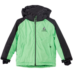 Textiel Jongens Wind jackets Peak Mountain Blouson de ski garçon EGEE Groen