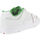 Schoenen Heren Sneakers DC Shoes Manteca alexis ADYS100686 WHITE/RED (WRD) Wit