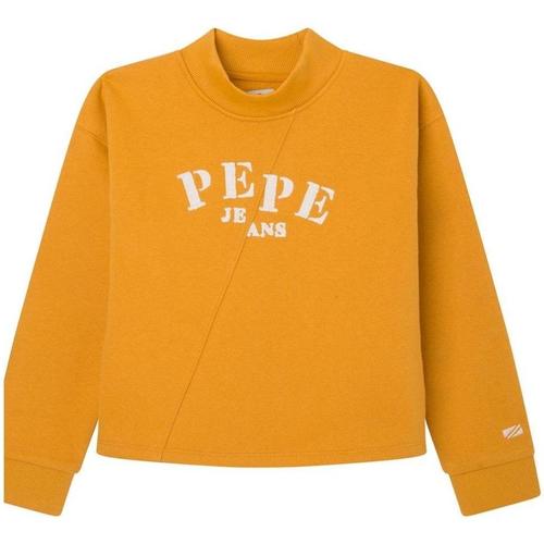 Textiel Meisjes Sweaters / Sweatshirts Pepe jeans  Geel
