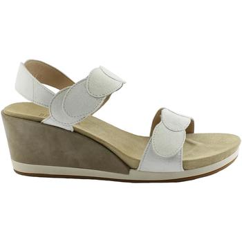 Schoenen Dames Sandalen / Open schoenen Benvado BEN-RRR-43007001-WH Wit