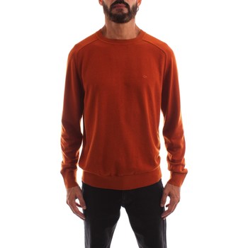 Textiel Heren T-shirts korte mouwen Calvin Klein Jeans K10K110477 Brown