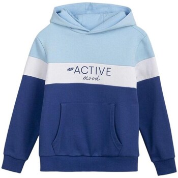 Textiel Meisjes Sweaters / Sweatshirts 4F JBLD002 Bleu marine, Bleu