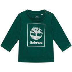Textiel Jongens T-shirts korte mouwen Timberland  Groen