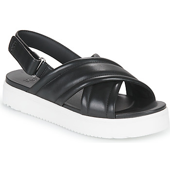 Schoenen Dames Sandalen / Open schoenen UGG ZAYNE SLINGBACK Zwart