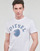 Textiel Heren T-shirts korte mouwen Diesel T-DIEGOR-K56 Wit / Blauw