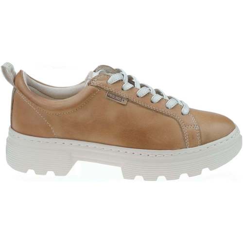 Schoenen Dames Sneakers Pikolinos Asturias W4W-6850 Brown