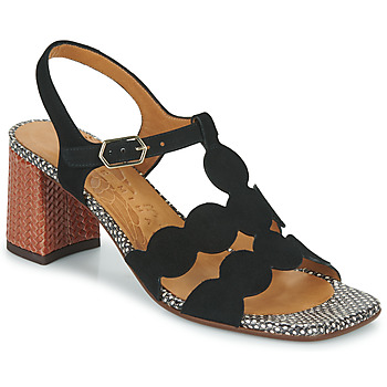 Schoenen Dames Sandalen / Open schoenen Chie Mihara LUCALA Zwart