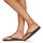 Schoenen Dames Slippers Havaianas SLIM ORGANIC Zwart