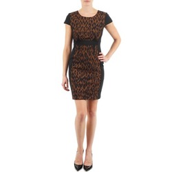 Textiel Dames Korte jurken Manoukian EMMA Zwart / Leopard