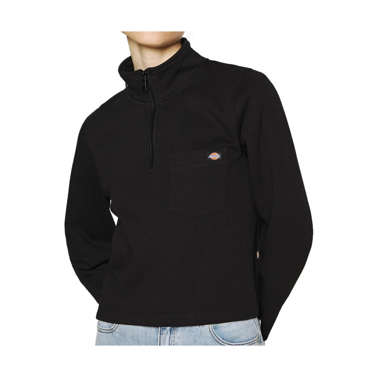 Textiel Dames Sweaters / Sweatshirts Dickies  Zwart