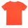 Textiel Jongens T-shirts korte mouwen Name it NMMTONY SS TOP Orange