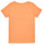 Textiel Meisjes T-shirts korte mouwen Name it NKFTATIANNA SS TOP Orange