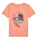Textiel Jongens T-shirts korte mouwen Name it NKMFICOLAJ SS TOP BOX Orange