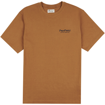 Textiel Heren T-shirts & Polo’s Penfield T-shirt  Arc Mountain Back Graphic Brown