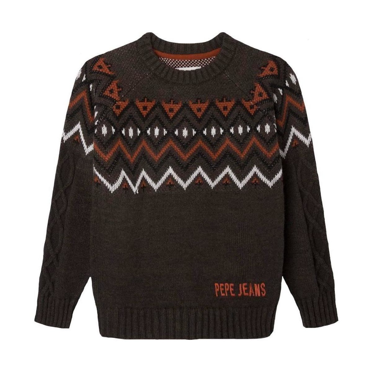 Textiel Jongens Sweaters / Sweatshirts Pepe jeans  Brown