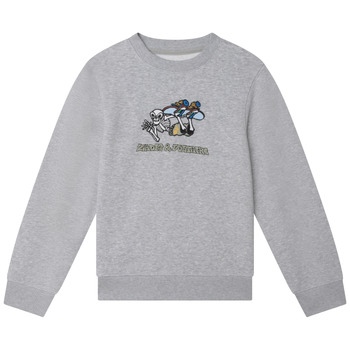 Textiel Jongens Sweaters / Sweatshirts Zadig & Voltaire  Grijs / Clair