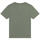 Textiel Jongens T-shirts korte mouwen Timberland T25T87 Kaki