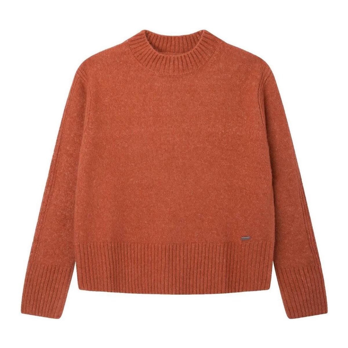 Textiel Meisjes Sweaters / Sweatshirts Pepe jeans  Orange